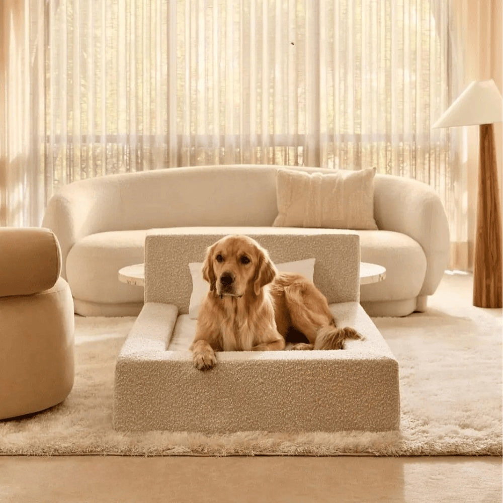 Lit Premium pour Chien
