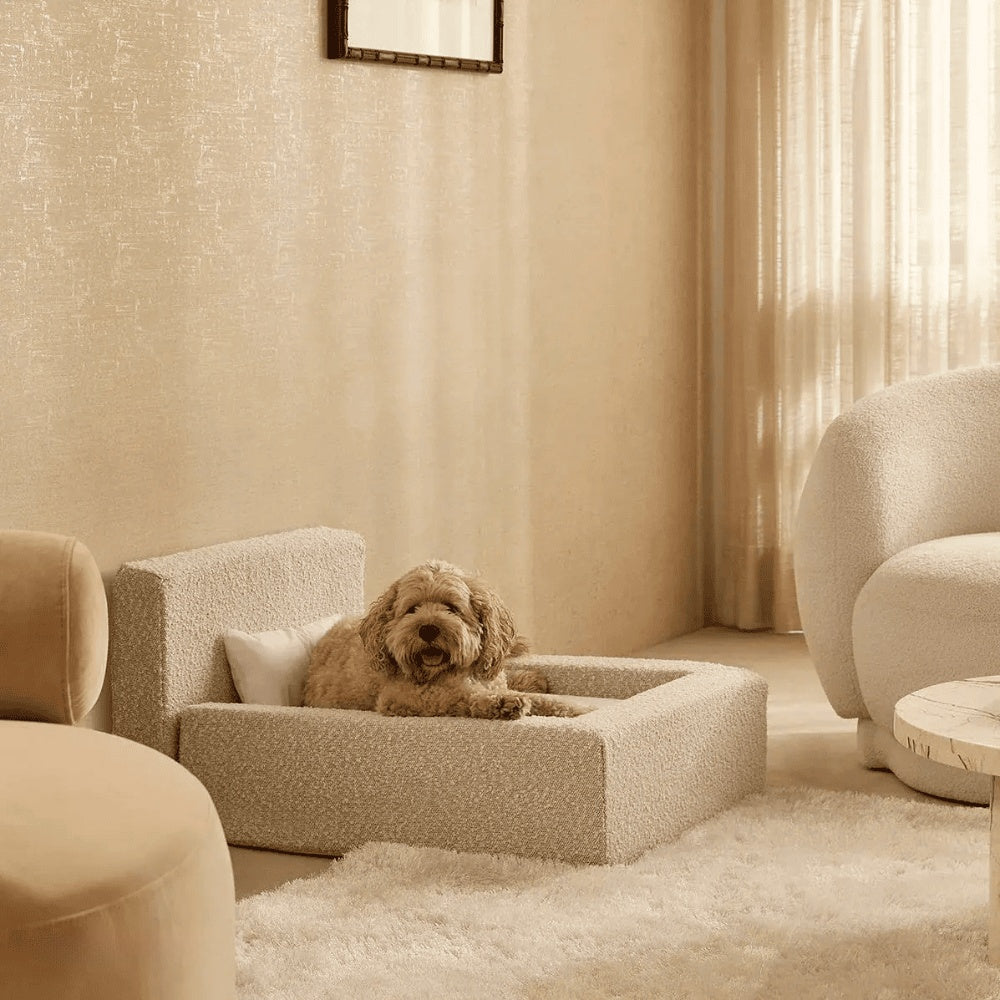 Lit Premium pour Chien