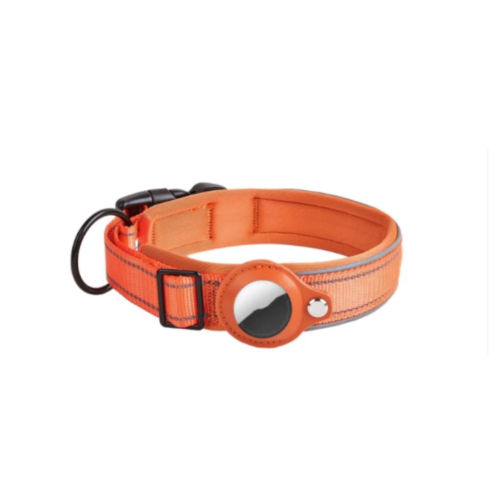 Collier GPS AirTag
