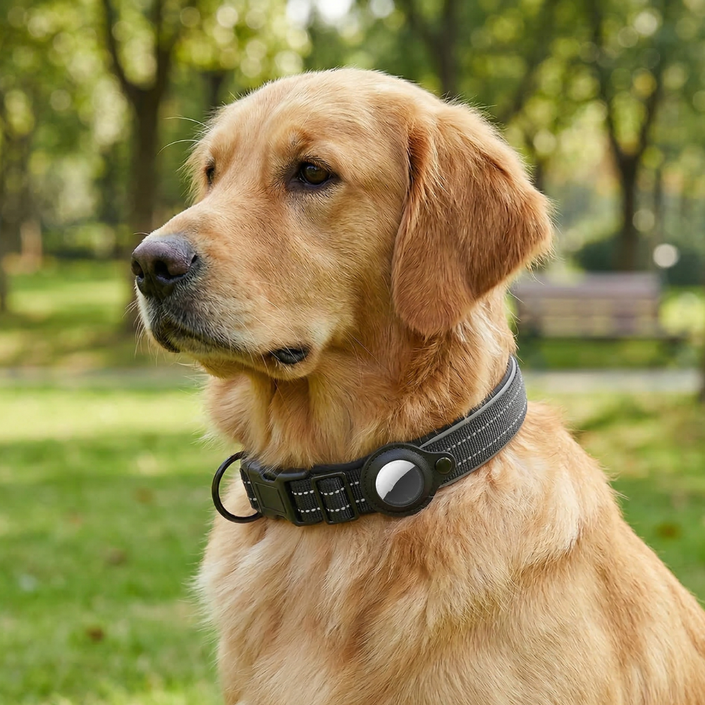Collier GPS AirTag
