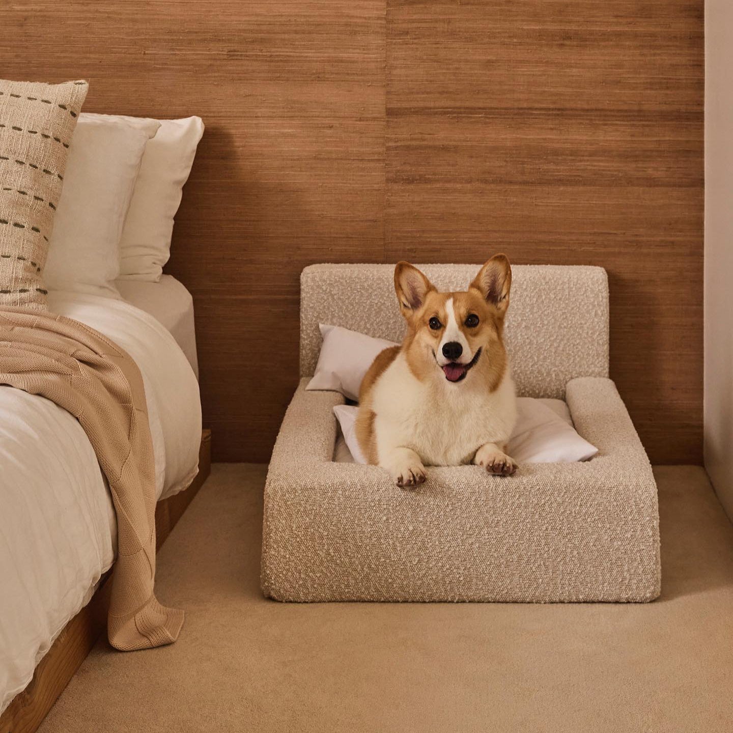 Lit Premium pour Chien