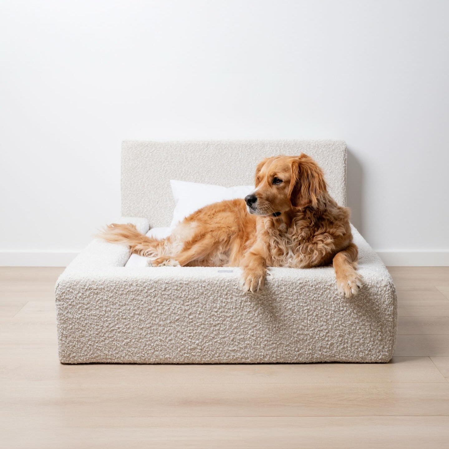 Lit Premium pour Chien