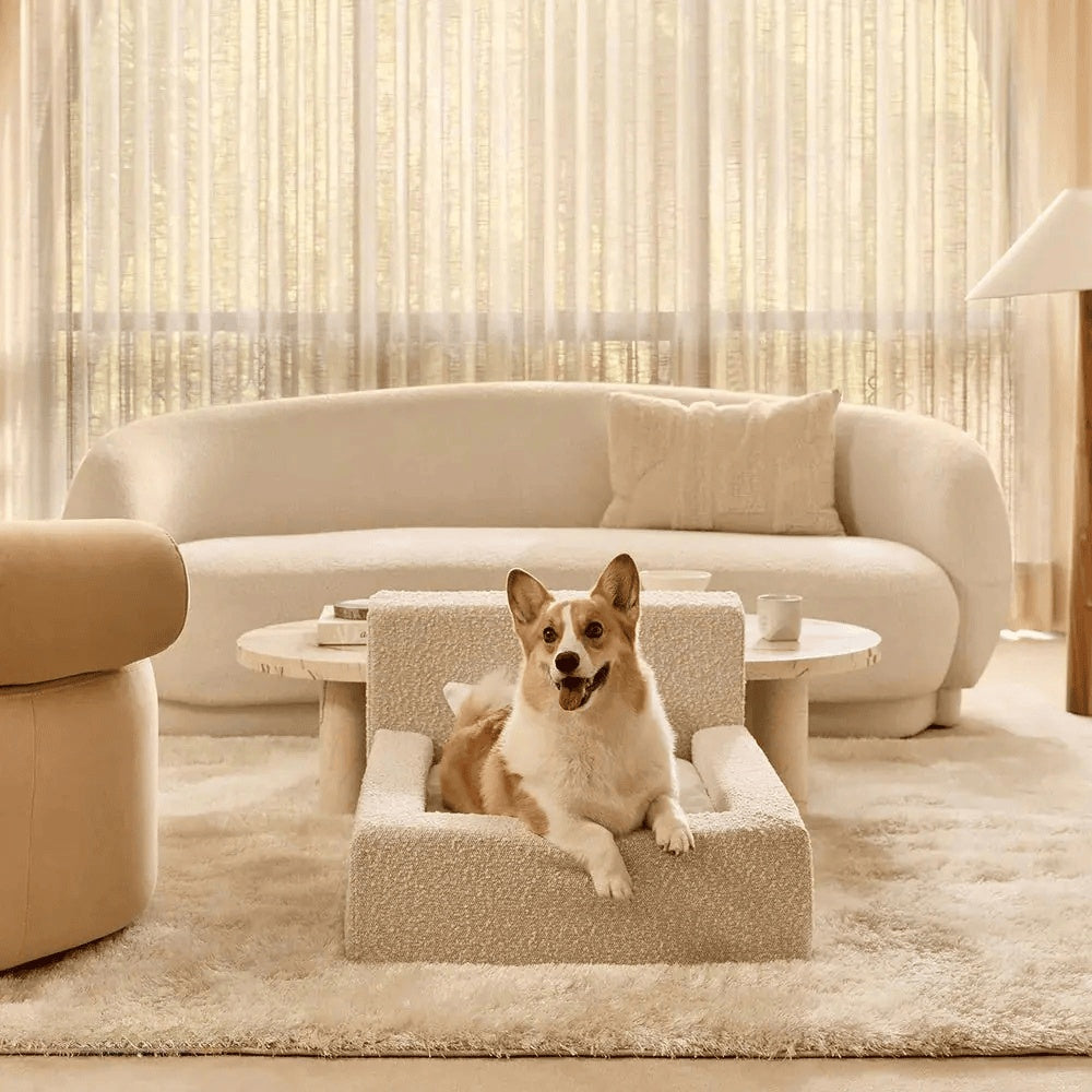 Lit Premium pour Chien