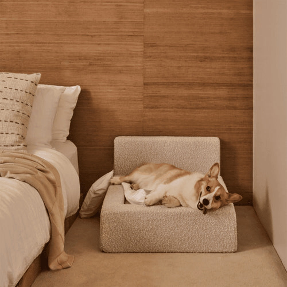 Lit Premium pour Chien